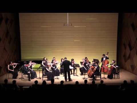 Dvorak Serenata op.22 per Archi